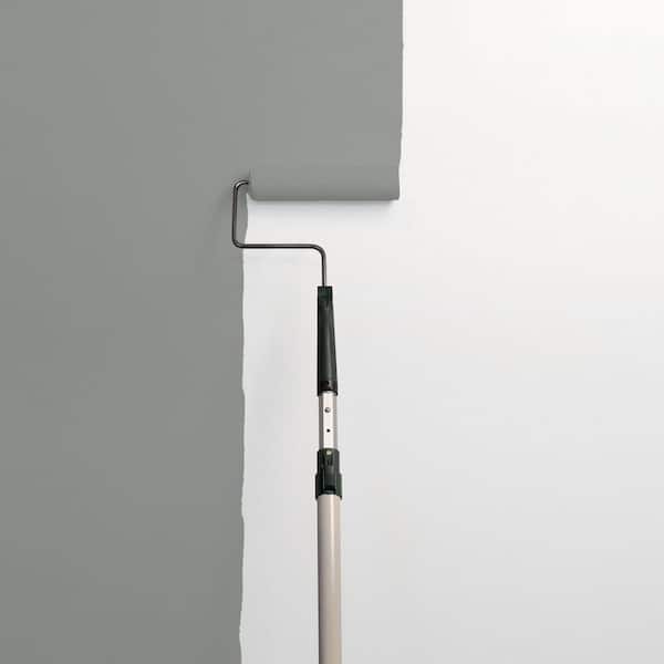 Phoenix Fossil PPG1009-5 Paint