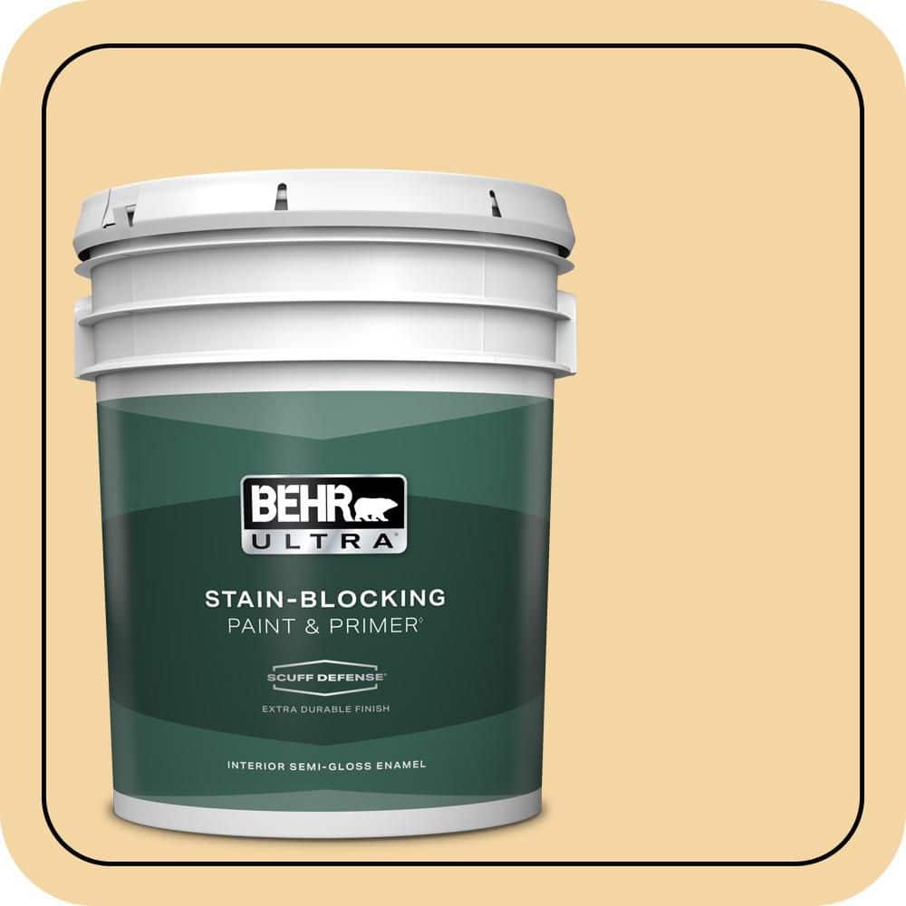5 gal. #340C-3 Pismo Dunes Extra Durable Semi-Gloss Enamel Interior Paint & Primer price history on PriceWatchPro