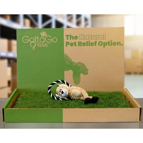 Gotta Go Grass Potty Pad with Tray + Squeaky Toy