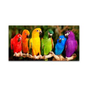 Rainbow Parrots by Mike Jones Photo Floater Frame Animal Wall Art 12 in. x 24 in.
