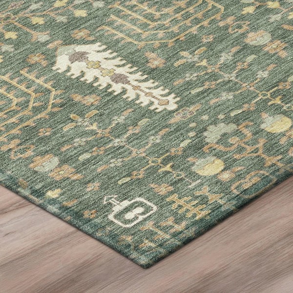 Chantille Machine Washable Indoor/Outdoor Abstract ACN3118 Basil 10 ft. x 14 ft. Area Rug