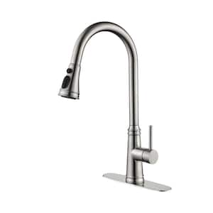 Single Handle High Arc Pull Out Kitchen Faucet, Single Level Stainless Steel Kitchen Sink Faucets with Pull Down Sprayer