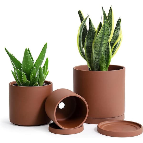 Scandinavian 6.5 in. L x 6.5 in. W x 6.5 in. H 2.4 qts. Rust Teracotta Indoor Ceramic Planter 3 (-Pack)