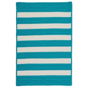 Baxter Turquoise 2 ft. x 3 ft. Braided Indoor/Outdoor Patio Area Rug