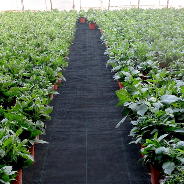 3 ft. x 300 ft. Weed Barrier 5.8 oz. Heavy-Duty PP Material Weed Barrier Landscape Fabric Ground Cover for Garden, Black