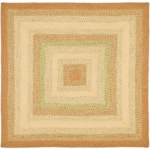 Braided Rust/Multi 5 ft. x 5 ft. Border Solid Color Square Area Rug