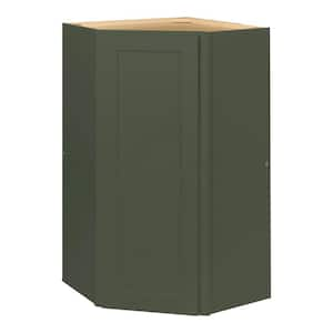 Avondale 24 in. W x 24 in. D x 42 in. H Ready to Assemble Plywood Shaker Diagonal Corner Kitchen Cabinet in Fern Green