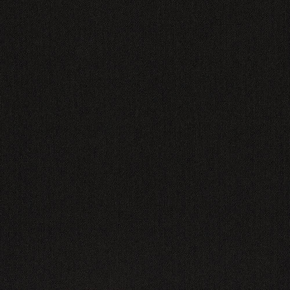 8 in. x 8 in. Loop Carpet Sample - Form Focus 26 - Color Onyx price history on PriceWatchPro