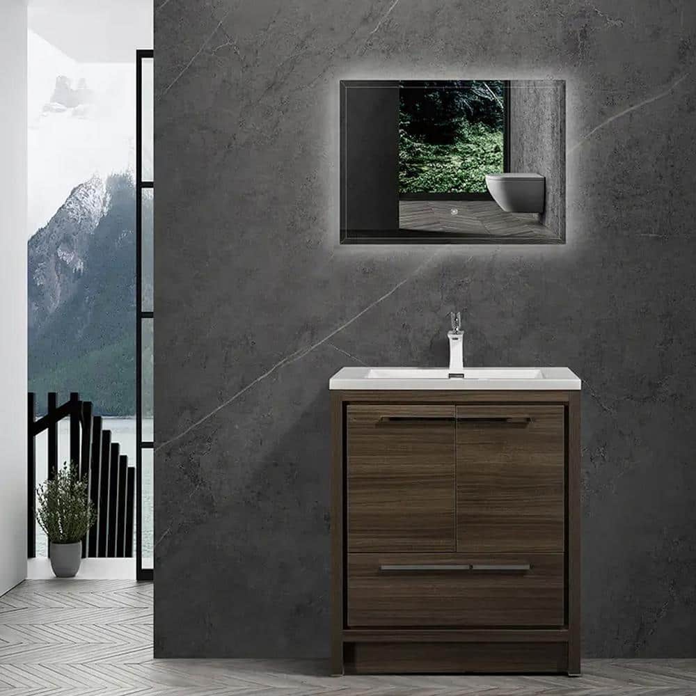 30 in. W x 20 in. D x 36 in. H Single Sink Freestanding Bathroom Vanity in 