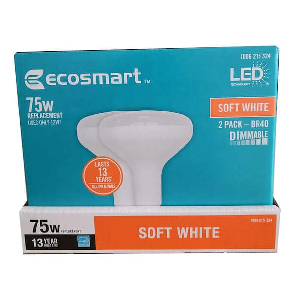 Ecosmart deals flood light