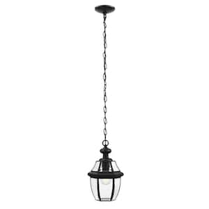 Highstone 1-Light Matte Black Hardwired Medium Outdoor Coach Hanging Pendant Light with Clear Glass
