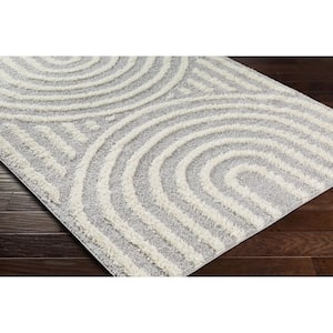 Sigrun Light Gray Modern 5 ft. x 7 ft. Indoor Area Rug