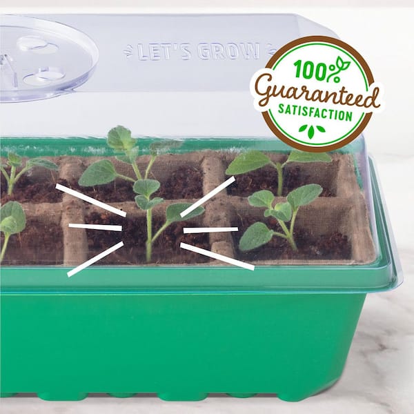 Back to the Roots Greenhouse Germination Kit (10-Cell) 49008 - The
