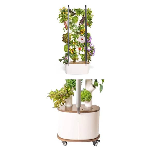 Hydroponics Growing System Kit with 30 Non-GMO Plants, LED Grow Lights and Rolling Cart for Indoor System