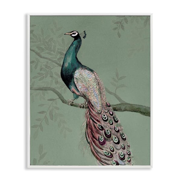 Stupell Industries Regal Peacock on Branch by Cloverfield & Co. White Framed Animal Giclee Art Print 30 in. x 24 in.