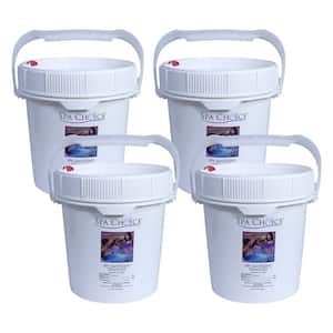 Spa and Hot Tub 5 lb. Sanitizing Granules (4-Pack)