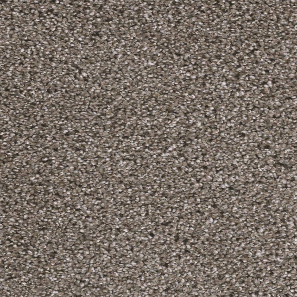 8 in. x 8 in. Texture Carpet Sample - Fall Skies I -Color Cozy Sweater price history on PriceWatchPro