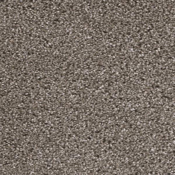 Home Decorators Collection Fall Skies I  - Cozy Sweater - Beige 48 oz. SD Polyester Texture Installed Carpet