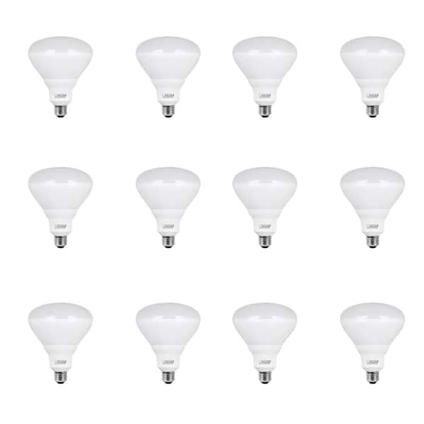 Feit Electric 65 Watt Equivalent BR40 Dimmable CEC ENERGY STAR 90