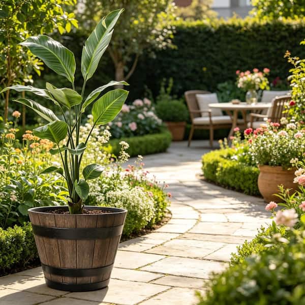 Large Plant Pots, 22.25