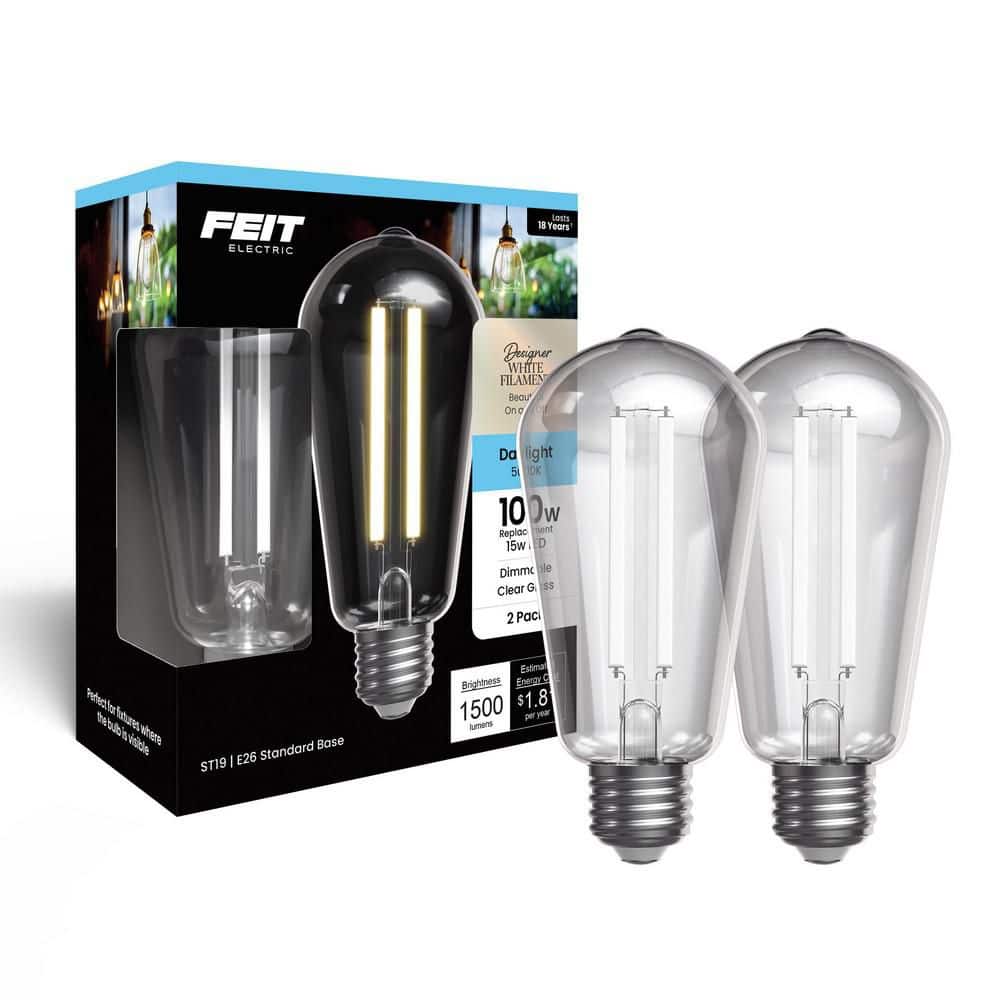 100-Watt Equivalent ST19 Straight White Filament Clear Glass E26 Vintage Edison LED Light Bulb, Daylight 5000K (2-Pack) price history on PriceWatchPro