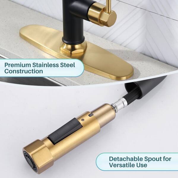 AFINION Single Handle Pull Down Sprayer Kitchen Faucet with 2-Mode