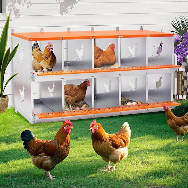 Orange 10-Bay Metal Nest Box-Wall Mount for Hens Steel Coop