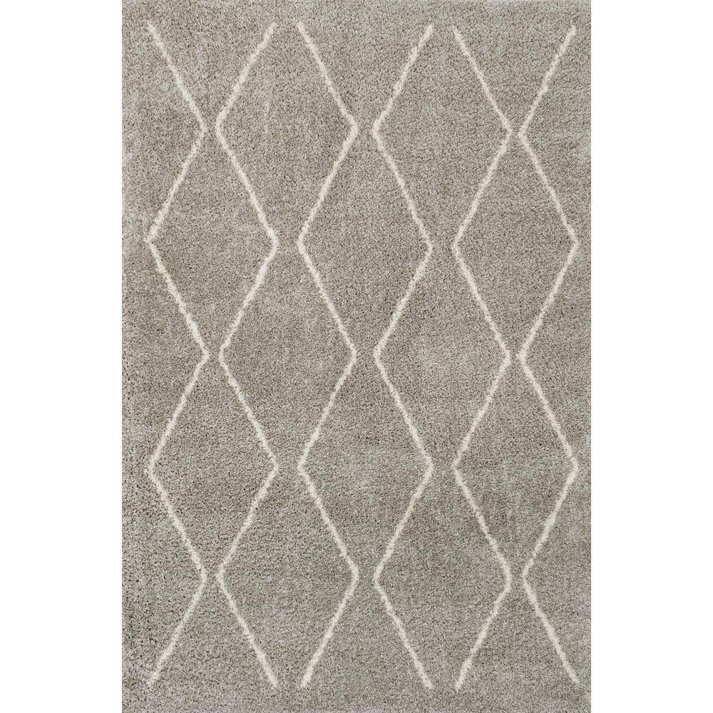 Catala Gray and Ivory Diamond Shag 5' x 8' Area Rug
