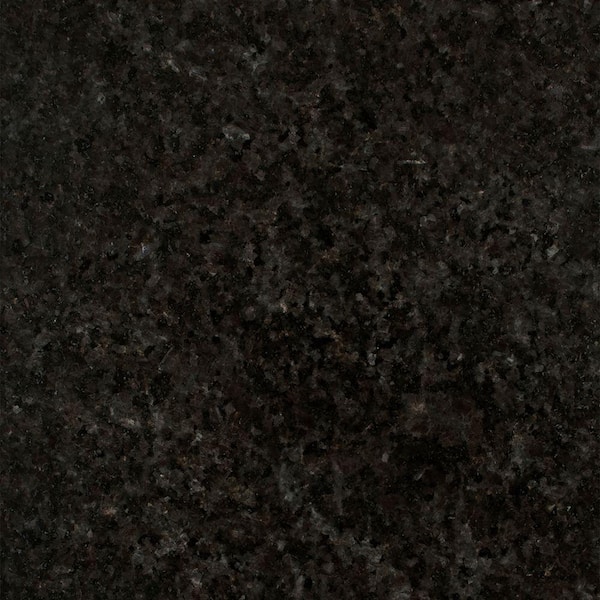 STONEMARK 3 in. x 3 in. Granite Countertop Sample in Black Pearl