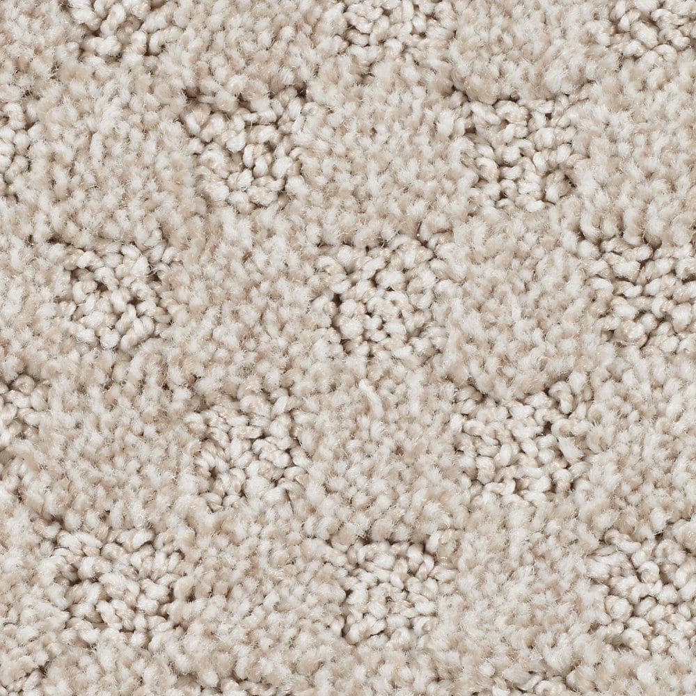 8 in. x 8 in. Pattern Carpet Sample - Shiloh Point -Color Earthenware price history on PriceWatchPro