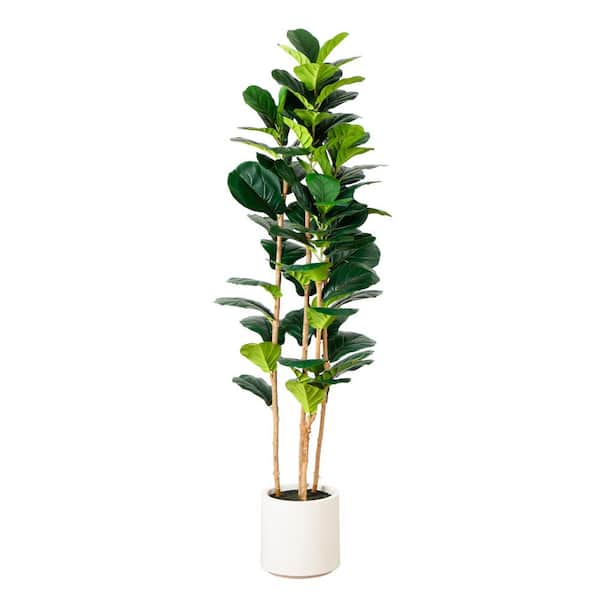 6 ft. Artificial Fiddle Leaf Tree in Decorative White Planter