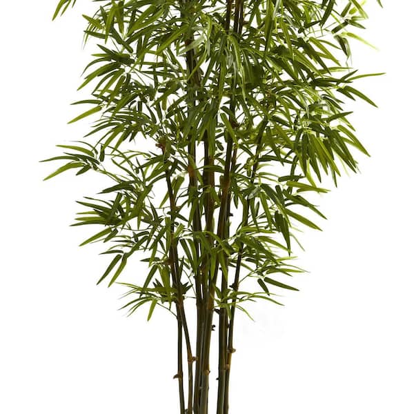 BAMBOO