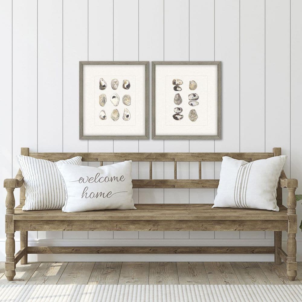 Oyster Shell / Shell Series by Inspire Studio 2 Piece Framed Canvas Transfer Coastal Art Print 18 in. x 16 in.
