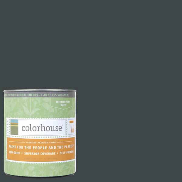 Colorhouse 1 qt. Metal .06 Flat Interior Paint