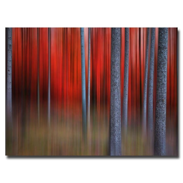 Trademark Fine Art 30 in. x 47 in. Gimick Canvas Art-DISCONTINUED
