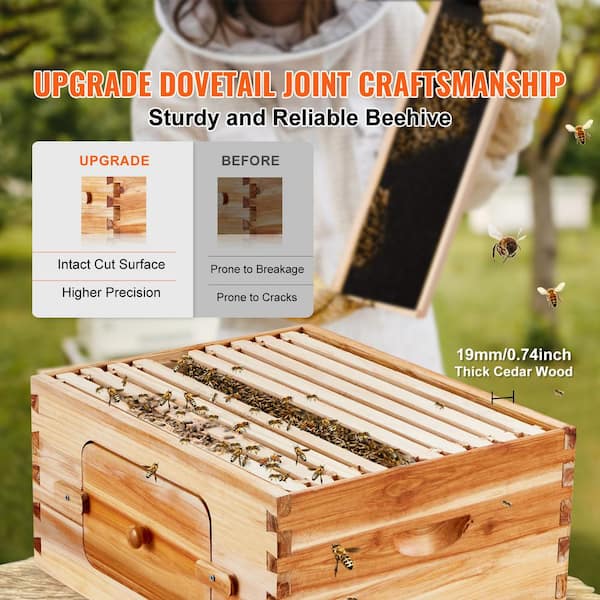 SKYSHALO 100% Beeswax Coated Natural Cedar Wood, Bee Hive Deep Box