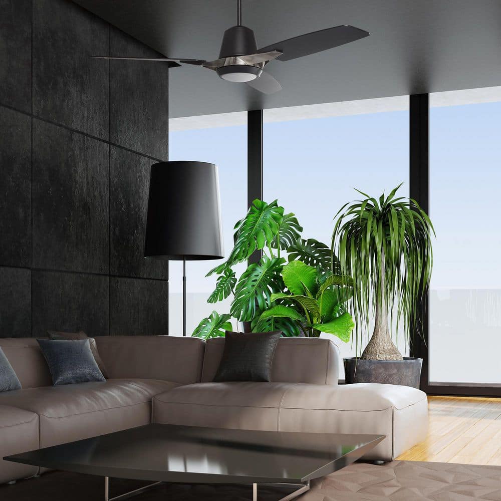 52'' Black Plywood Blade Smart Ceiling Fan with LED Light