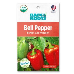 Bella Noir Pepper Seeds – Pepper Joe's