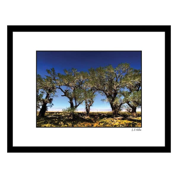 VENICE BEACH Collections Heller Photography Tree Line Framed Printed Photograph by Steven A. Heller Nature Poster Art Print 18 in. x 14 in.