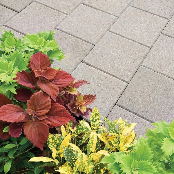 24 in. x 24 in. x 2 in. Pewter Square Concrete Step Stone (14-Pieces/56 sq. ft./Pallet)