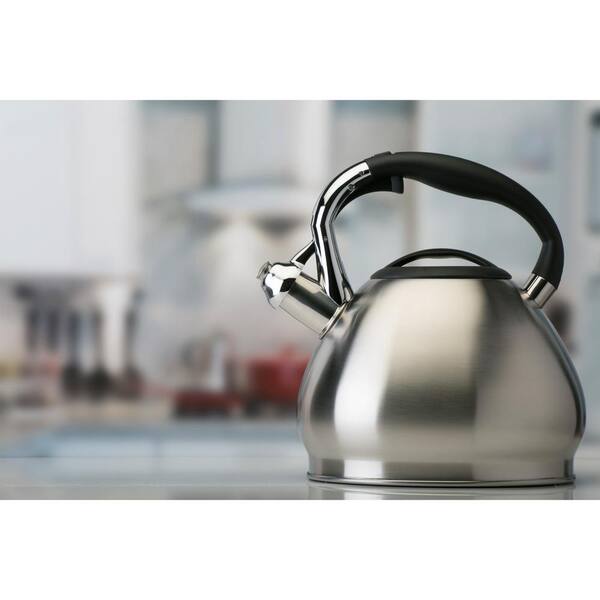 brushed nickel tea kettle