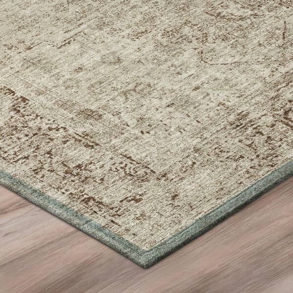 Chantille Machine Washable Indoor/Outdoor Abstract ACN3171 Putty 3 ft. x 5 ft. Area Rug