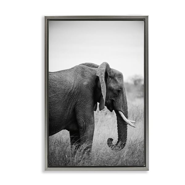 Stupell Industries Side Profile Elephant by Sharon Vardy Gray Floater Frame Animal Graphic Art Print 31 in. x 21 in.