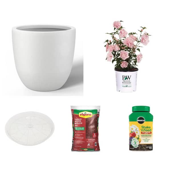 Shake N Feed Plant Food, 1 lb, 18in. Plant Pot, 14 in. Saucer, Rose of Sharon Shrub and 2 cu. ft. Mulch Combo