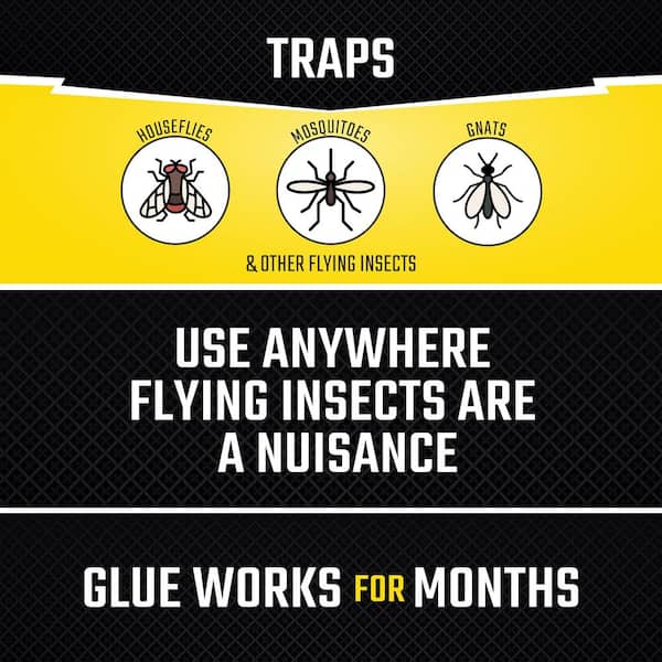 Window Fly Adhesive Insect Trap (4-Count)