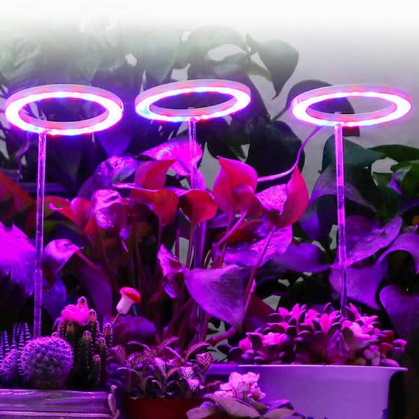 SANSI Grow Lights for Indoor Plants, Pot Clip LED Plant Light for Growing  Full Spectrum, Plant Growing Lamp with 4-Level Dimmable, Auto On Off 3 6 12