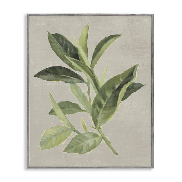 Green Tea Plant Leaf by Lanie Loreth Gray Framed Nature Giclee Art Print 20 in. x 16 in.