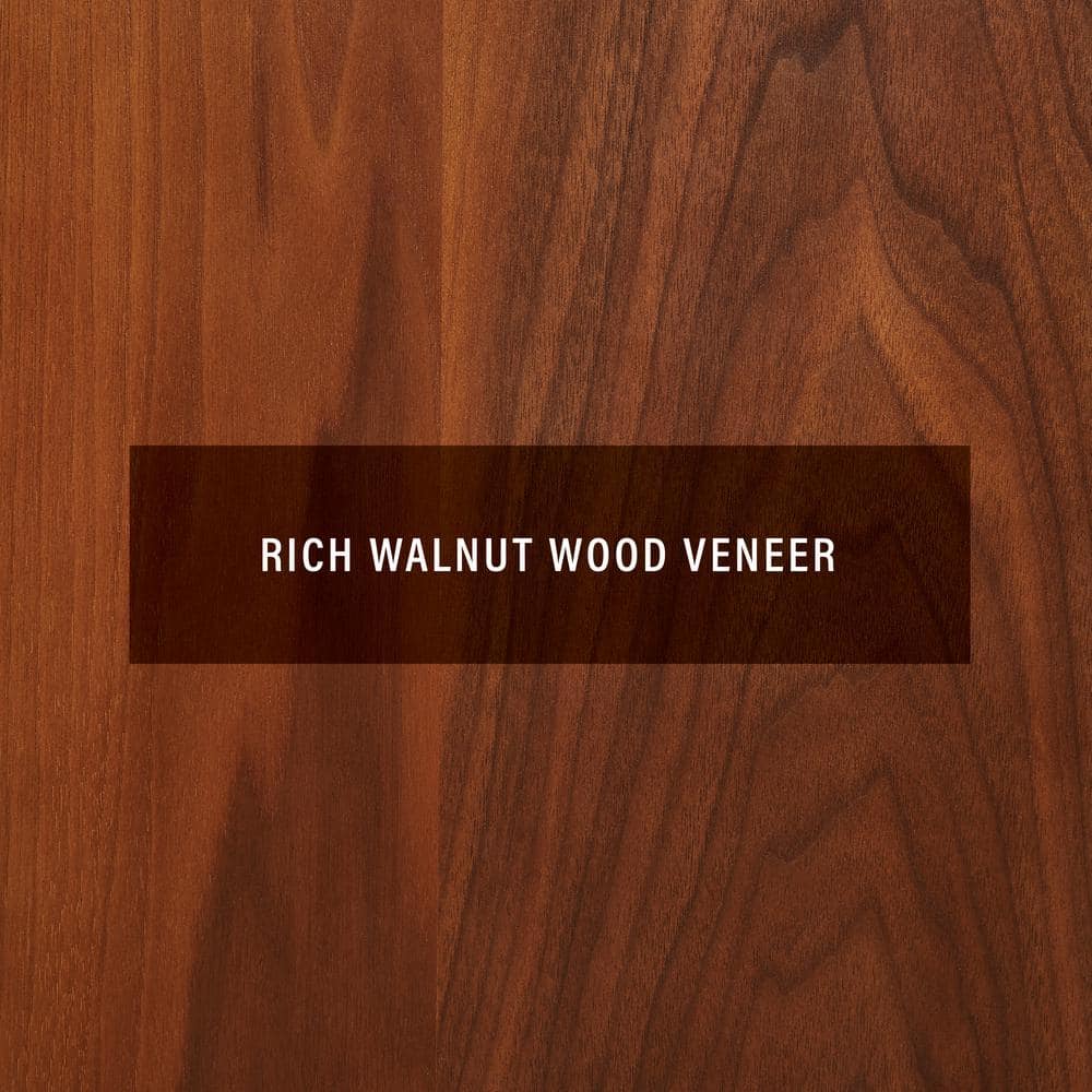 Asheville Walnut Mid-Century Modern Record Storage Console