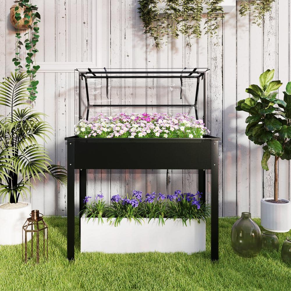 Black Steel Raised Garden Bed with Clear Greenhouse Cover