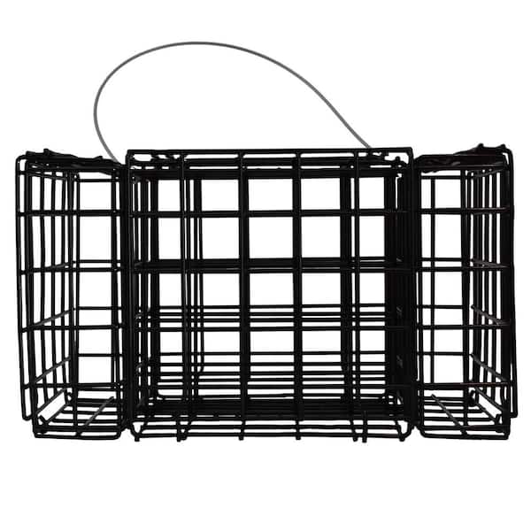 Quad Suet Bird Feeder